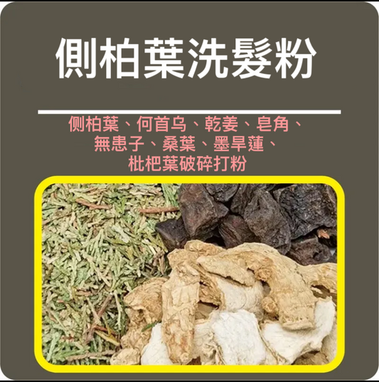 側柏葉防脫生髮洗頭粉